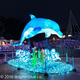 イルカのイルミネーション