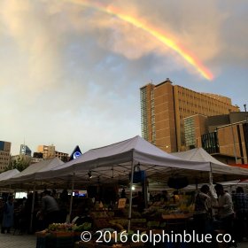 No rain, no rainbow.