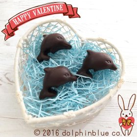 イルカのバレンタイン