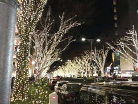 表参道のイルミネーション