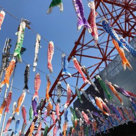 東京タワーとこいのぼり
