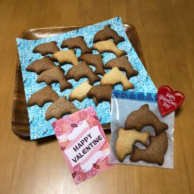イルカのバレンタイン