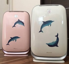 イルカのぴちょん