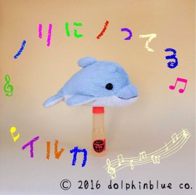 ノリにノってるイルカ