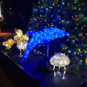 イルカのイルミネーション