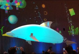 空飛ぶイルカ