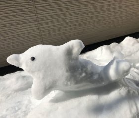 雪イルカ