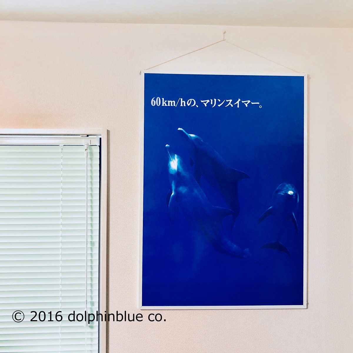 イルカのポスター