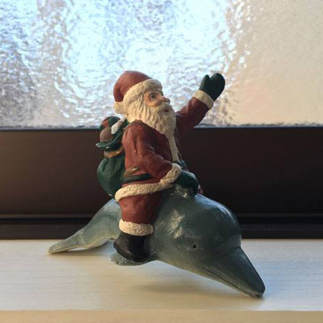 画像: イルカのクリスマス