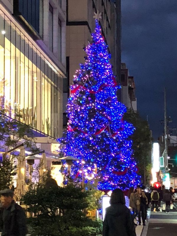 画像: 表参道のクリスマスツリー